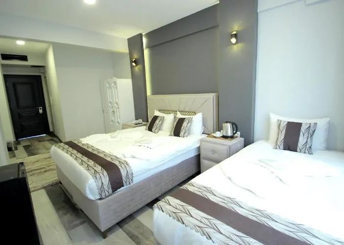 Hotel Guler Palace *