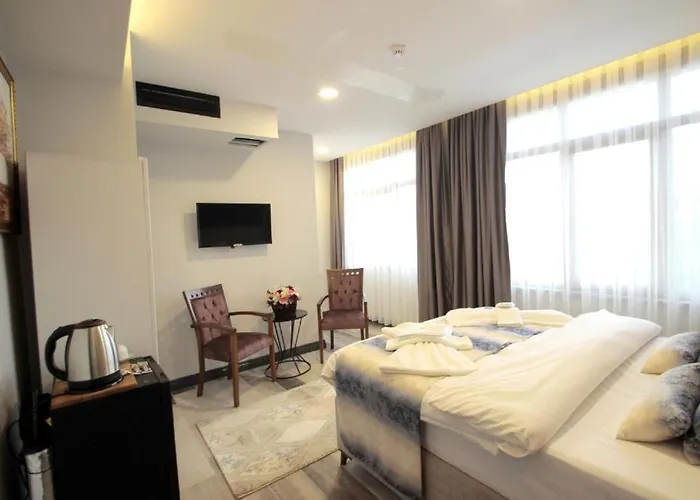 Guler Palace Hotel *